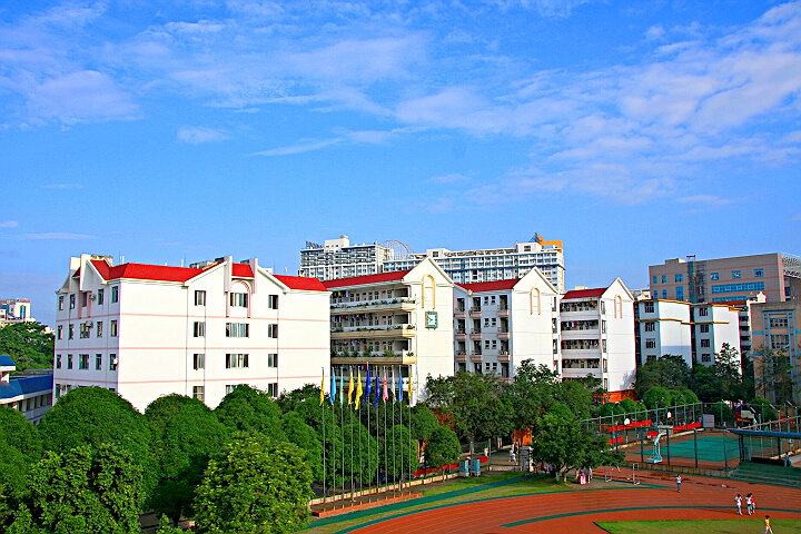 �V�����t(y��)ˎ��W����D