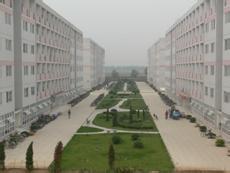 �t(y��)ˎ�WԺ����DƬ