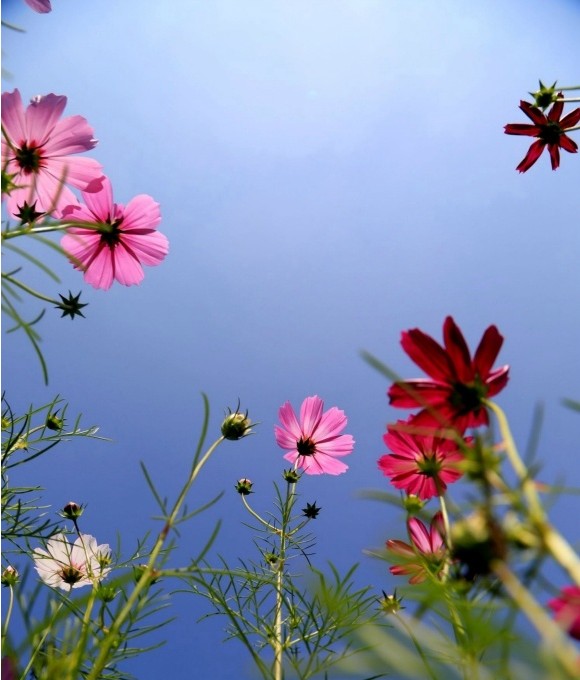 �Ͼ����t(y��)ˎ��W(xu��)���ֻ�