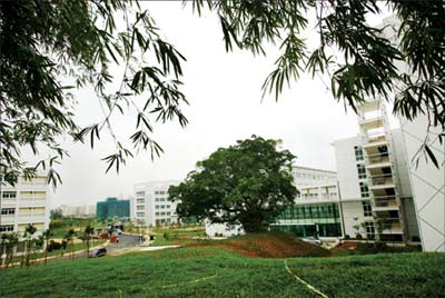 �V�����t(y��)ˎ��W(xu��)��ɫ