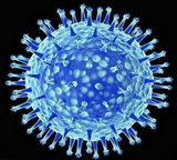 ���в���