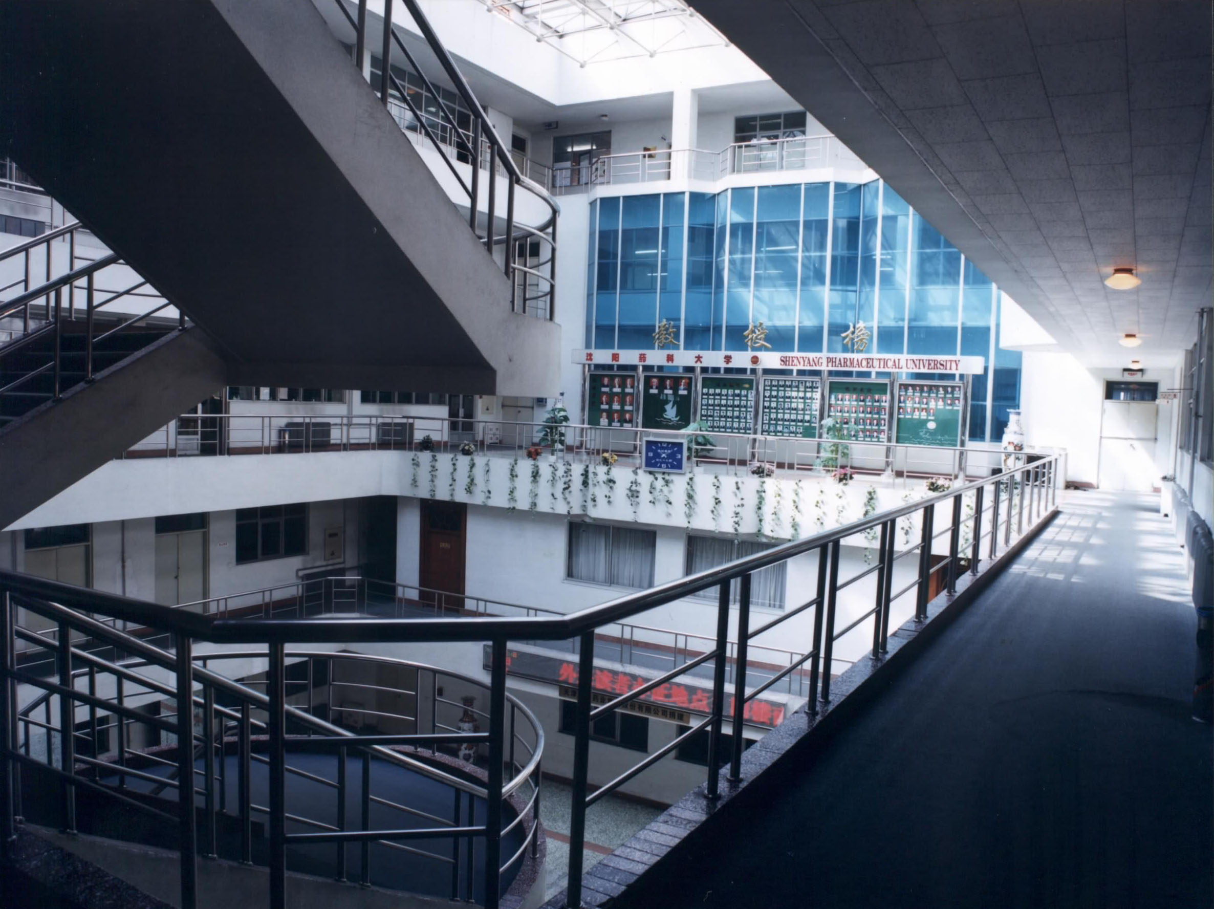 ���ˎ�ƴ�W(xu��)�������^