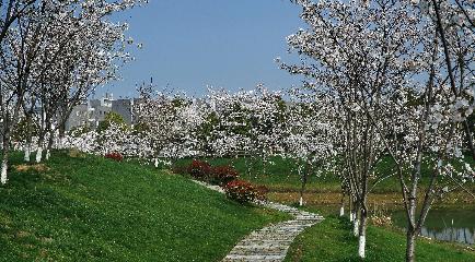 �Ї�(gu��)ˎ�ƴ�W(xu��)У�@�L(f��ng)��