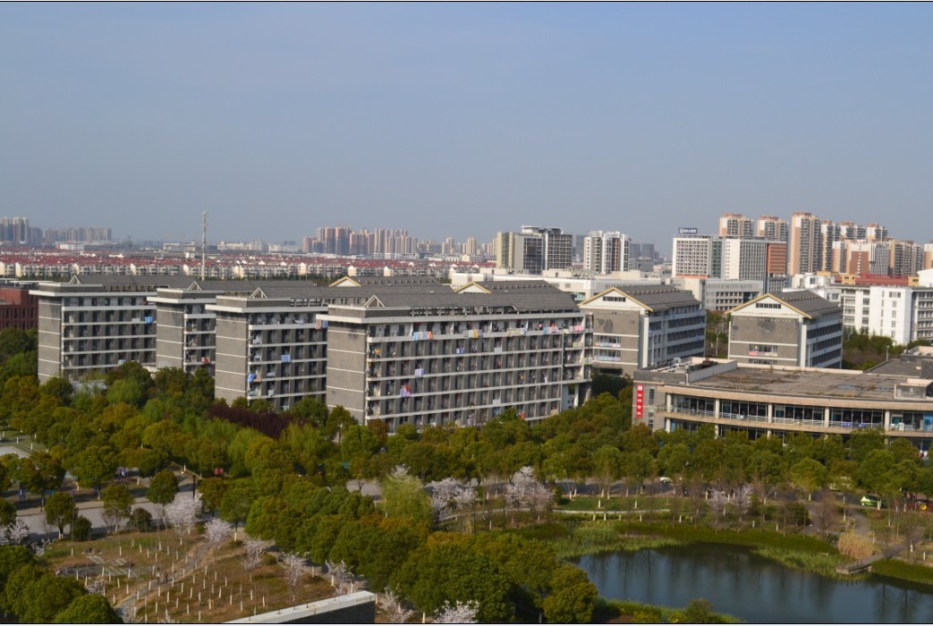 ˎ�WԺ����