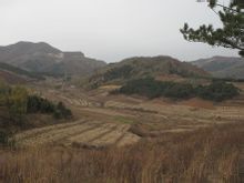 �Ї�(gu��)�t(y��)���R���t(y��)ˎ�W(xu��)Ժ��ϪУ�^(q��)