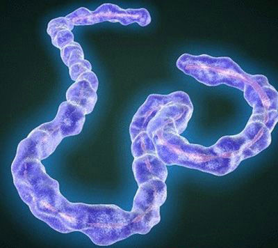 這個春節(jié) 抗埃戰(zhàn)斗仍將繼續(xù)