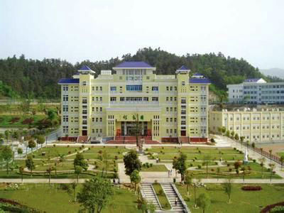 �����t(y��)ˎ�WԺ