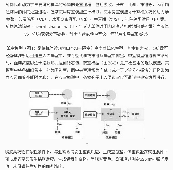 ˎ�������W���