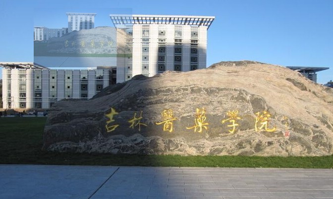 �����t(y��)ˎ�W(xu��) У�@