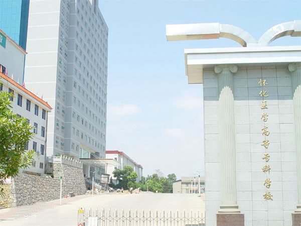 �ѻ��t(y��)�W�ߵȌ��ƌWУ