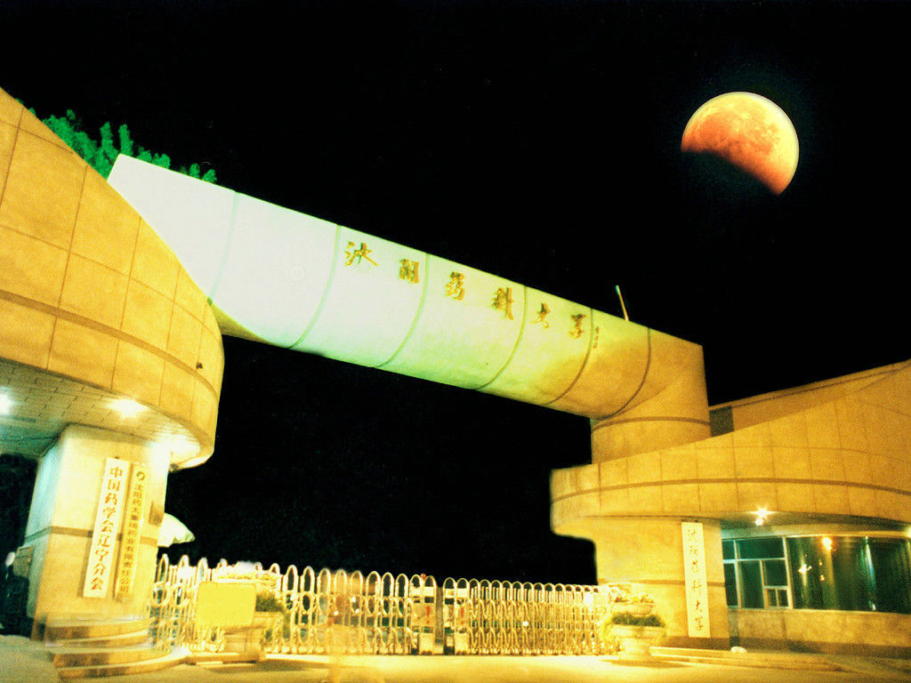 ���(y��ng)ˎ�ƴ�W(xu��)