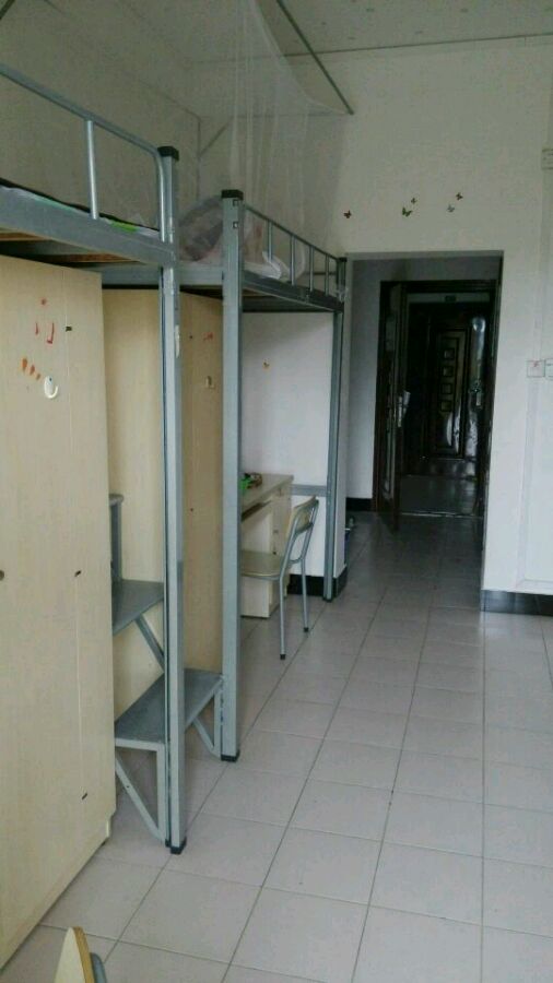 �㽭�t(y��)ˎ���ƌWУ����