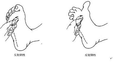 �����e˹�������еİ��e˹��