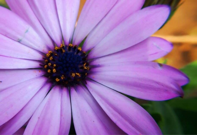 老年人骨關節(jié)炎