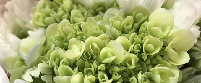 有效緩解痛風(fēng)性關(guān)節(jié)炎的三種方法