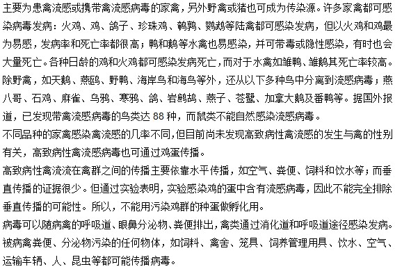 禽流感病毒有哪些傳染源？