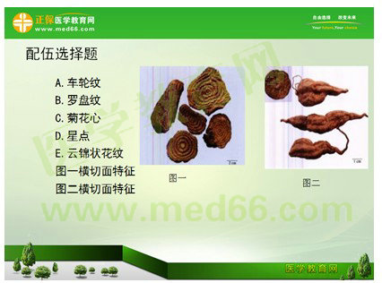 2017年執(zhí)業(yè)藥師《中藥學(xué)專業(yè)知識(shí)(一)》考情分析