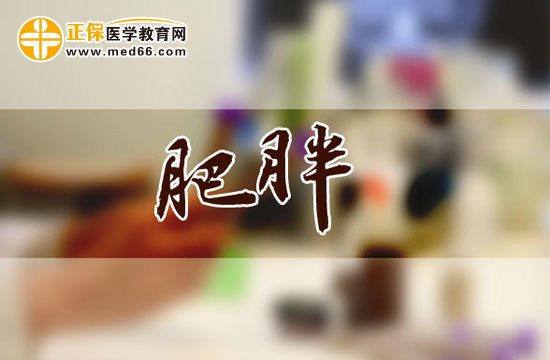肥胖會引發(fā)哪些疾?。? width=