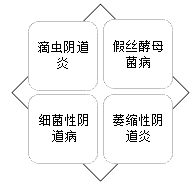 2019年中西醫(yī)執(zhí)業(yè)助理醫(yī)師輔導精華:陰道炎