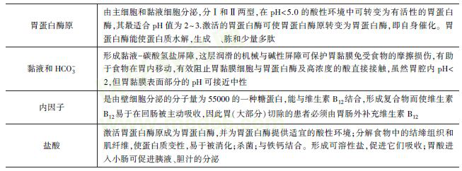 胃液的性質成分和作用