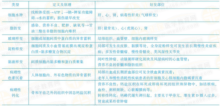 可逆性損傷的?？键c 