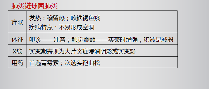 肺炎鏈球菌 肺炎鏈球菌