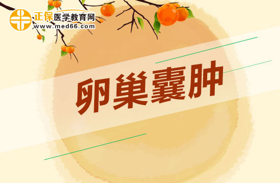 53837_1000x2000 53837_1000x2000