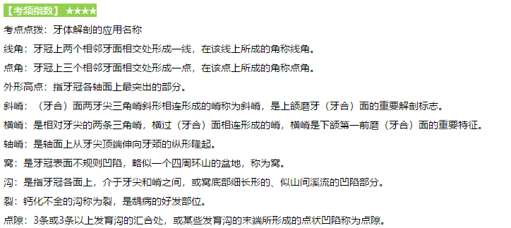 牙體解剖應(yīng)用的名稱 牙體解剖應(yīng)用的名稱