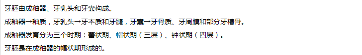 牙的發(fā)育 牙的發(fā)育