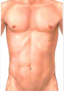 肺部聽(tīng)診模擬試題 肺部聽(tīng)診模擬試題