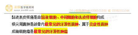 口腔組織病理學(xué)2 口腔組織病理學(xué)2