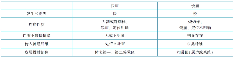 兩種痛覺的對比 兩種痛覺的對比
