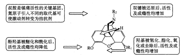 嗎啡的構(gòu)效關(guān)系 嗎啡的構(gòu)效關(guān)系