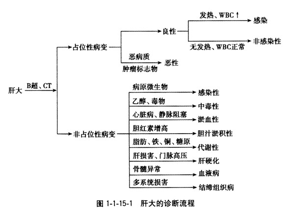 肝大常見疾病的鑒別診斷 肝大常見疾病的鑒別診斷