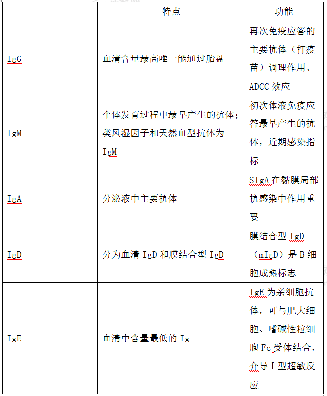 免疫球蛋白 免疫球蛋白
