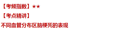 不同血管分布區(qū)腦梗死的表現(xiàn)——臨床執(zhí)業(yè)醫(yī)師歷年重點(diǎn)內(nèi)容 不同血管分布區(qū)腦梗死的表現(xiàn)——臨床執(zhí)業(yè)醫(yī)師歷年重點(diǎn)內(nèi)容
