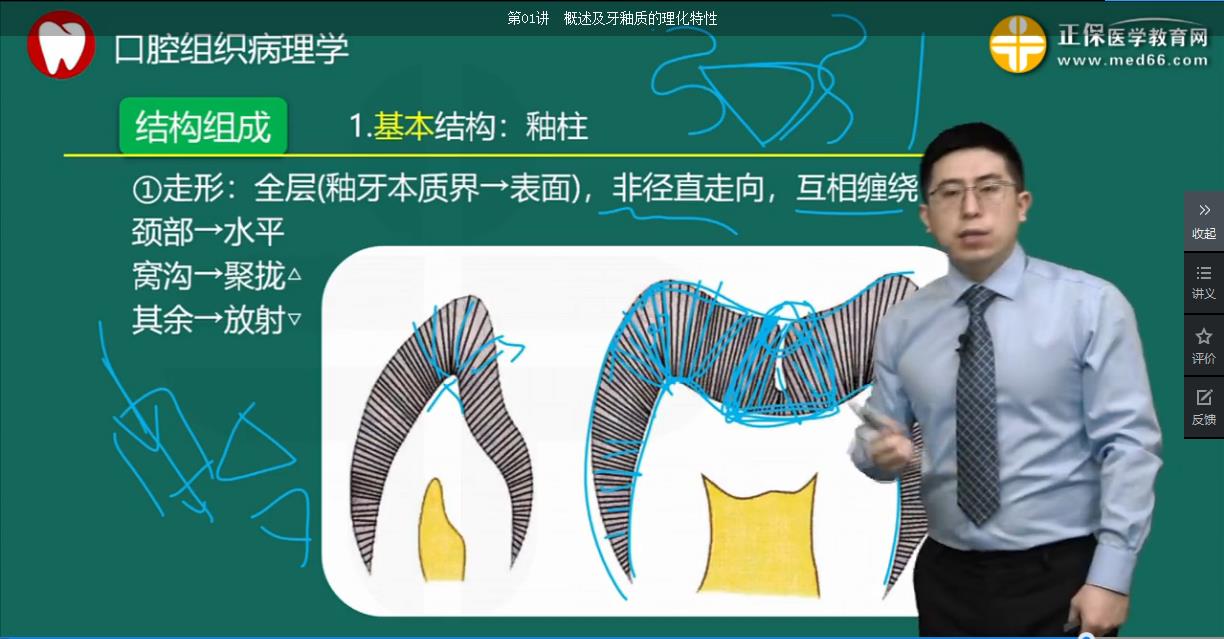 口腔助理醫(yī)師-口組 口腔助理醫(yī)師-口組