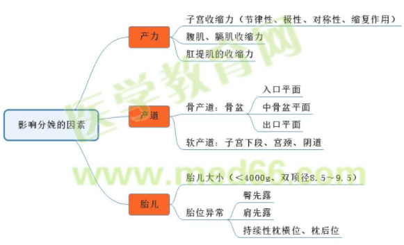 影響分娩的因素思維導圖 影響分娩的因素思維導圖