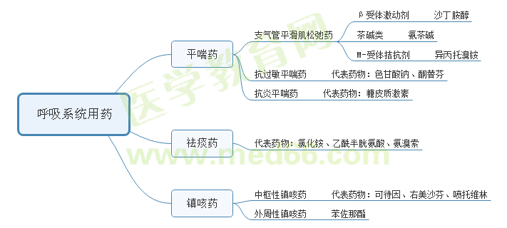 呼吸系統(tǒng)藥 呼吸系統(tǒng)藥