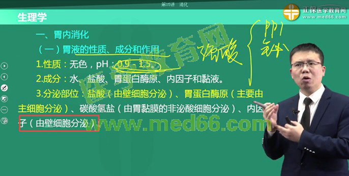 胃內(nèi)消化 胃內(nèi)消化