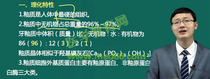 牙釉質(zhì) 牙釉質(zhì)