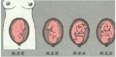 Dingtalk_20210412174743 Dingtalk_20210412174743