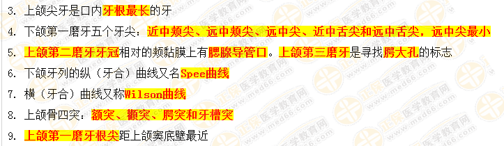 口腔解剖生理學(xué)-口腔執(zhí)業(yè)醫(yī)師 口腔解剖生理學(xué)-口腔執(zhí)業(yè)醫(yī)師