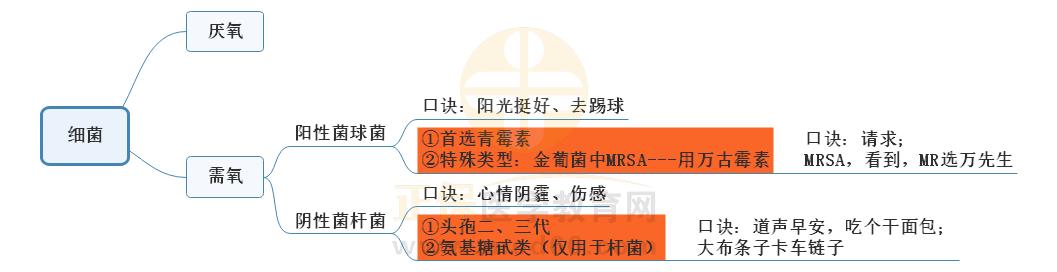 肺炎細菌感染總結(jié) 肺炎細菌感染總結(jié)