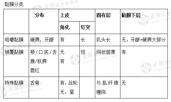 粘膜分類 粘膜分類