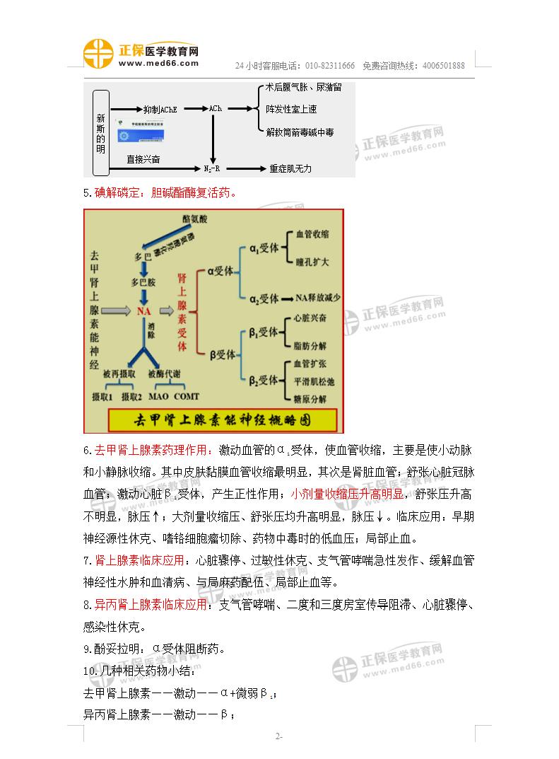 藥理學(xué)高頻考點2 藥理學(xué)高頻考點2
