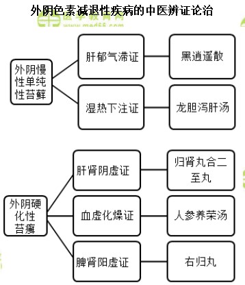 外陰色素減退性疾病的中醫(yī)辨證論治 外陰色素減退性疾病的中醫(yī)辨證論治
