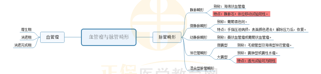 4.血管瘤與脈管畸形 4.血管瘤與脈管畸形