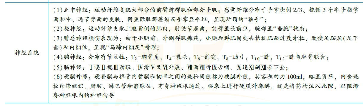 解剖學(xué)易錯(cuò)考點(diǎn)3 解剖學(xué)易錯(cuò)考點(diǎn)3