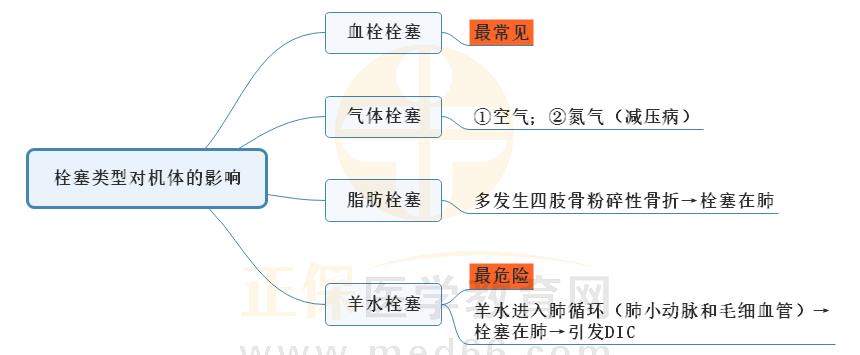2.栓塞類型對機(jī)體的影響思維導(dǎo)圖 2.栓塞類型對機(jī)體的影響思維導(dǎo)圖